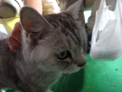 f:id:hatekota810:20141214190942j:image