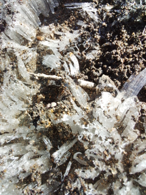 f:id:hatekota810:20141219190956j:image