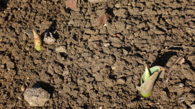 f:id:hatekota810:20150120192248j:image