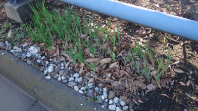 f:id:hatekota810:20150120192649j:image