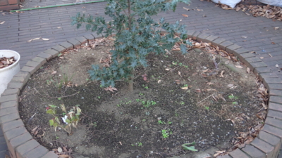 f:id:hatekota810:20150121194524j:image