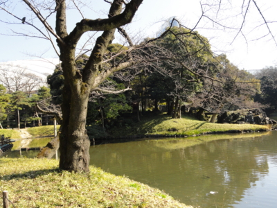 f:id:hatekota810:20150203191638j:image