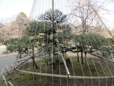 f:id:hatekota810:20150210192008j:image