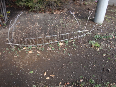 f:id:hatekota810:20150301181720j:image