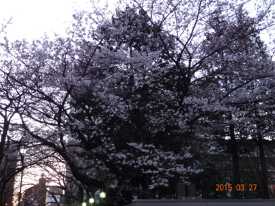 f:id:hatekota810:20150327190128j:image