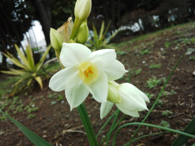f:id:hatekota810:20150330200929j:image f:id:hatekota810:20150330200929j:image