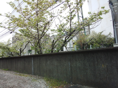 f:id:hatekota810:20150410195005j:image