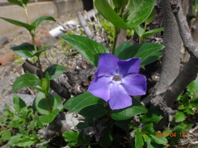 f:id:hatekota810:20150426195609j:image