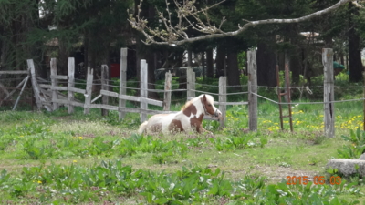 f:id:hatekota810:20150512191157j:image