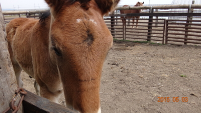 f:id:hatekota810:20150512191548j:image