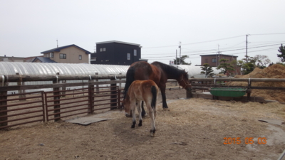 f:id:hatekota810:20150512191634j:image