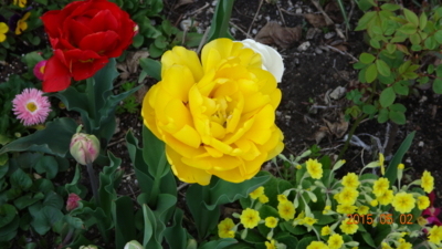 f:id:hatekota810:20150513192426j:image