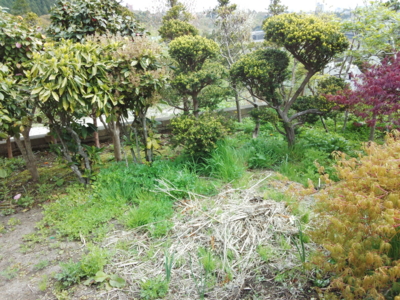 f:id:hatekota810:20150514192456j:image