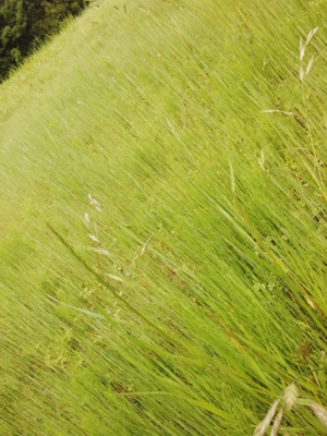 f:id:hatekota810:20150516202337j:image