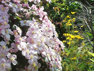 f:id:hatekota810:20150528205354j:image