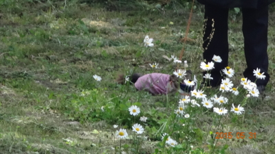 f:id:hatekota810:20150617200702j:image