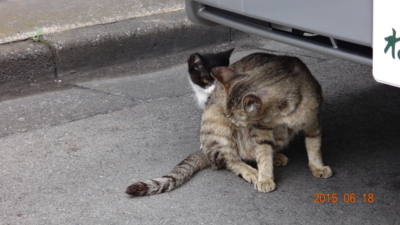 f:id:hatekota810:20150619195747j:image