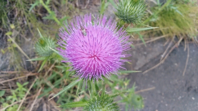 f:id:hatekota810:20150701195338j:image