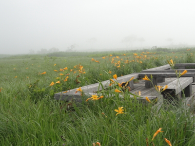 f:id:hatekota810:20150803191534j:image