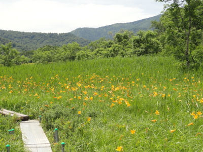 f:id:hatekota810:20150803192236j:image