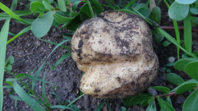 f:id:hatekota810:20150828192708j:image