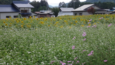 f:id:hatekota810:20150914193415j:image