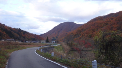 f:id:hatekota810:20151107190201j:image