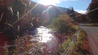 f:id:hatekota810:20151107190603j:image