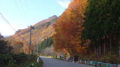 f:id:hatekota810:20151110193740j:image