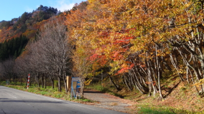 f:id:hatekota810:20151110194309j:image