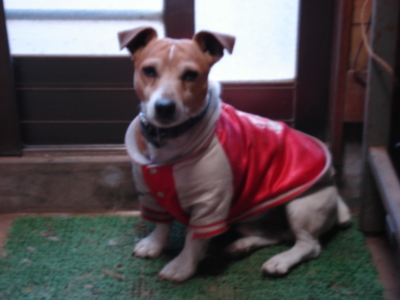 f:id:hatekota810:20151207191733j:image