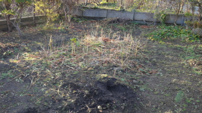 f:id:hatekota810:20151208202338j:image