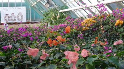 f:id:hatekota810:20160206171802j:image