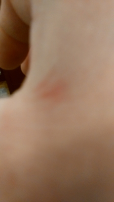 f:id:hatekota810:20160226201229j:image