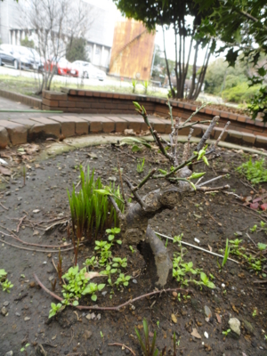 f:id:hatekota810:20160317190810j:image