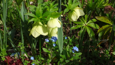 f:id:hatekota810:20160512203146j:image