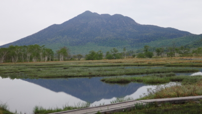 f:id:hatekota810:20160530211708j:image