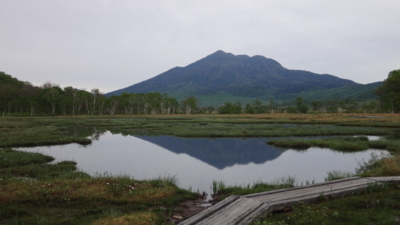 f:id:hatekota810:20160530211751j:image