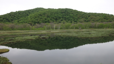 f:id:hatekota810:20160530212223j:image