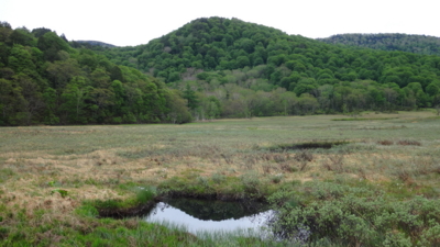 f:id:hatekota810:20160530212306j:image