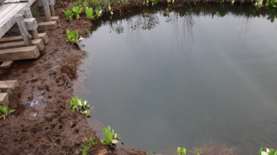 f:id:hatekota810:20160608191212j:image