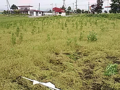 f:id:hatekota810:20160619205749j:image