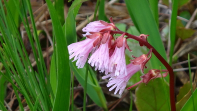 f:id:hatekota810:20160707203533j:image