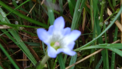 f:id:hatekota810:20160707204246j:image