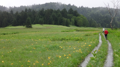 f:id:hatekota810:20160718201314j:image