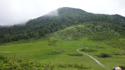 f:id:hatekota810:20160720182939j:image