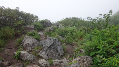 f:id:hatekota810:20160724182456j:image