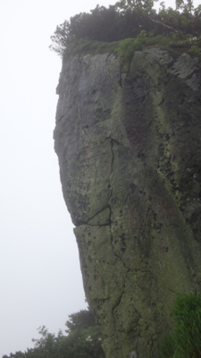 f:id:hatekota810:20160724182907j:image