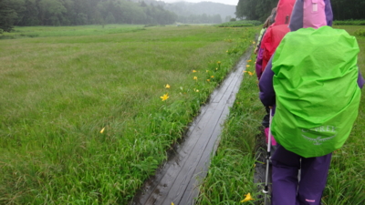 f:id:hatekota810:20160802201407j:image