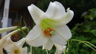 f:id:hatekota810:20160904184633j:image